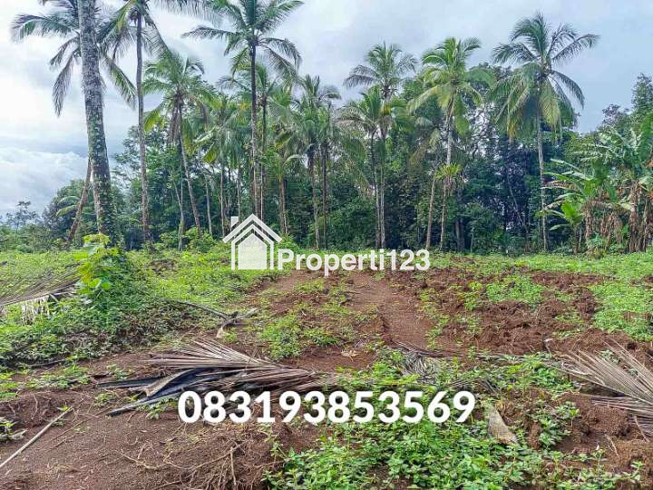 Jual Tanah  Murah Pandeglang Banten - 4