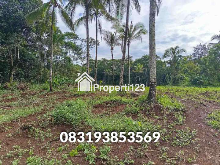 Jual Tanah  Murah Pandeglang Banten - 3