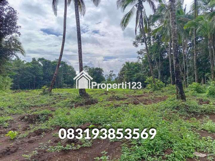 Jual Tanah  Murah Pandeglang Banten - 5