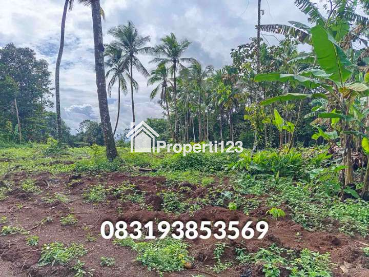 Jual Tanah  Murah Pandeglang Banten - 1