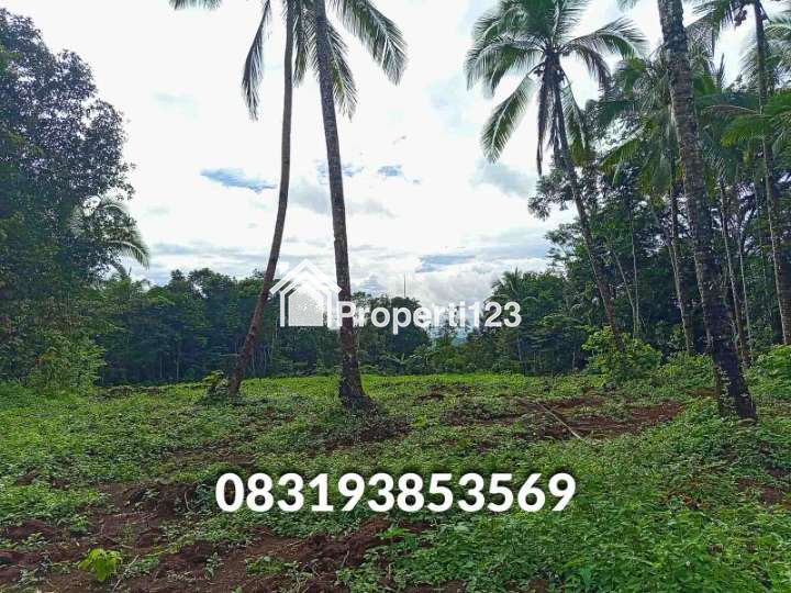 Jual Tanah  Murah Pandeglang Banten - 6