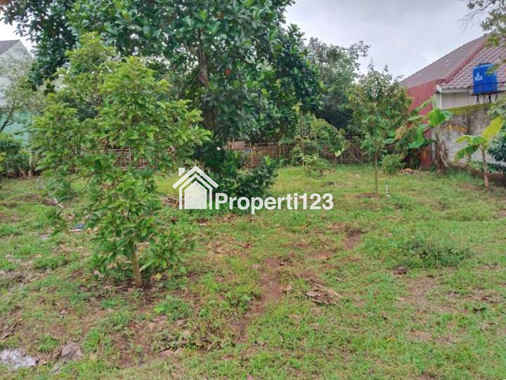 Tanah Kebun Durian Strategis Desa Cijunti Campaka Purwakarta - 4