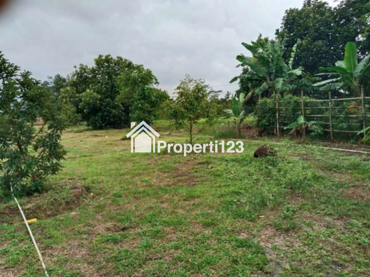 Tanah Kebun Durian Strategis Desa Cijunti Campaka Purwakarta - 6