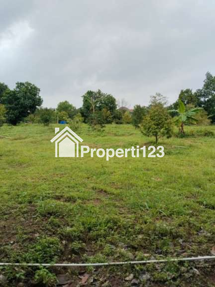 Tanah Kebun Durian Strategis Desa Cijunti Campaka Purwakarta - 11