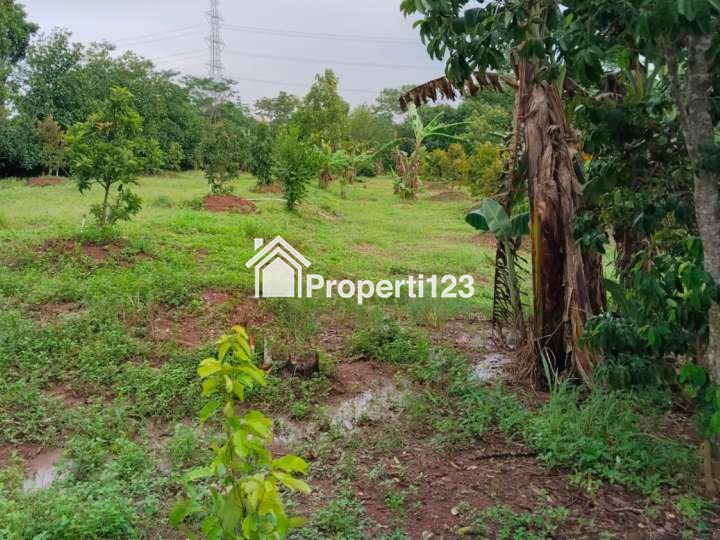 Tanah Kebun Durian Strategis Desa Cijunti Campaka Purwakarta - 8