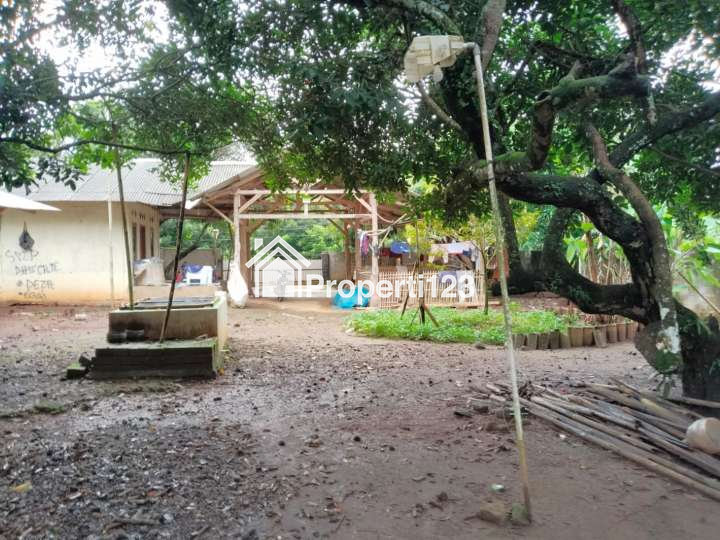 Tanah Kebun Durian Strategis Desa Cijunti Campaka Purwakarta - 2