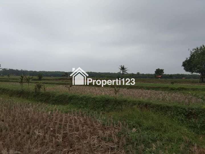 Dijual Sawah Produktif Di Dawuan Subang - 6