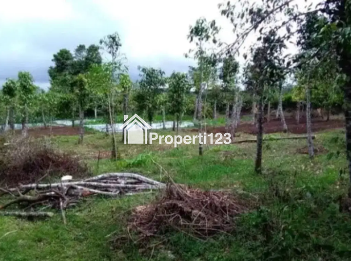 Dijual Tanah Siap Bangun Lokasi Pesanggrahan Kota Wisata Batu Jawa Timur - 3