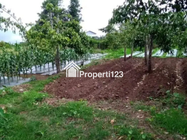 Dijual Tanah Siap Bangun Lokasi Pesanggrahan Kota Wisata Batu Jawa Timur - 8