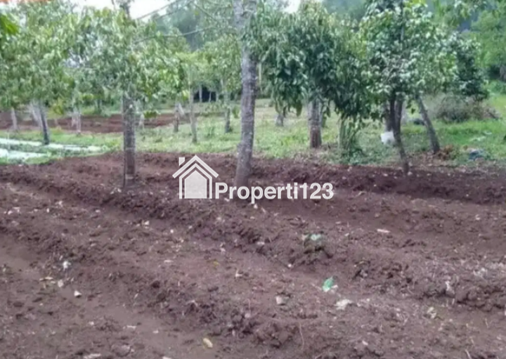 Dijual Tanah Siap Bangun Lokasi Pesanggrahan Kota Wisata Batu Jawa Timur - 6