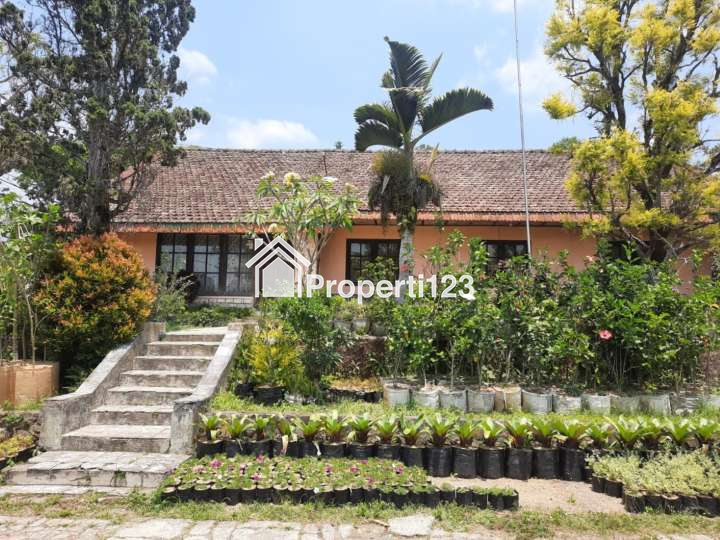 Villa Jalan Raya Kebun Raya Cibodas Cimacan Cipanas Puncak - 2