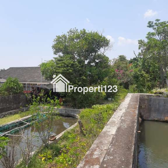 Villa Jalan Raya Kebun Raya Cibodas Cimacan Cipanas Puncak - 8