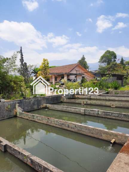 Villa Jalan Raya Kebun Raya Cibodas Cimacan Cipanas Puncak - 4