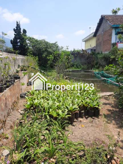 Villa Jalan Raya Kebun Raya Cibodas Cimacan Cipanas Puncak - 6