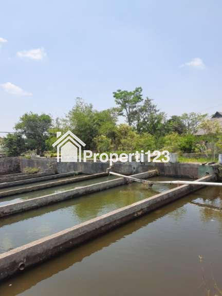 Villa Jalan Raya Kebun Raya Cibodas Cimacan Cipanas Puncak - 5