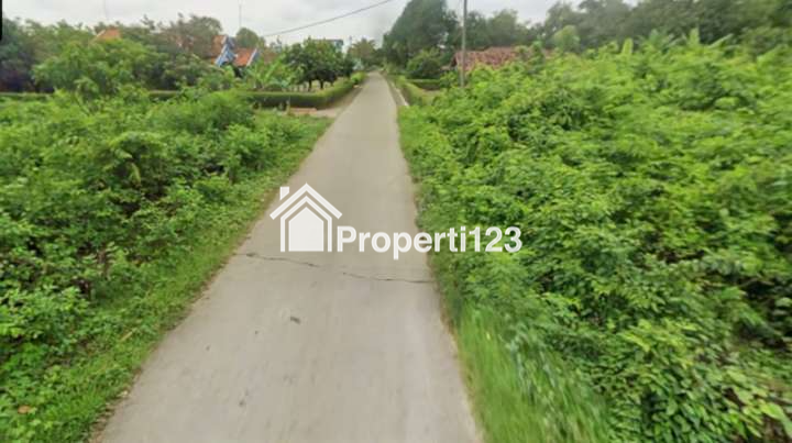 Kaveling Tanah Hak Milik SHM Pasirmulya Majalaya Karawang Timur - 4