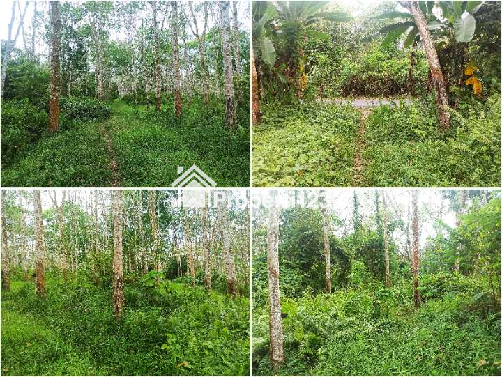 TURUN HARGA - Jual BU Tanah 1,5 Ha Lokasi Strategis di Sumatera Selatan. Palembang - 4