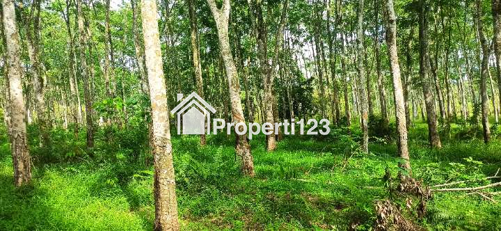 TURUN HARGA - Jual BU Tanah 1,5 Ha Lokasi Strategis di Sumatera Selatan. Palembang - 3