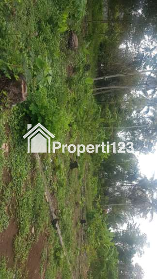 DIJUAL / DISEWAKAN TANAH PEKARANGAN - 8