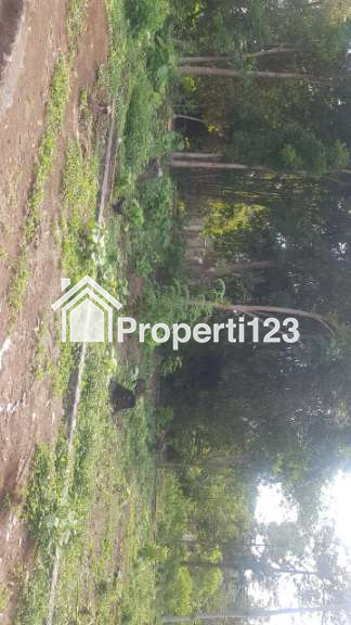 DIJUAL / DISEWAKAN TANAH PEKARANGAN - 6