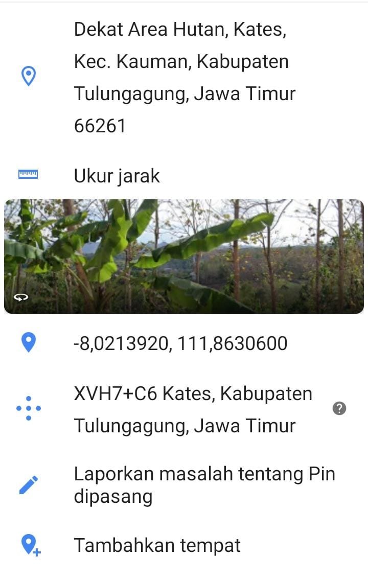 Dijual Tanah Lereng Bukit Beserta Pohon Jati  ,Kates,Jawa Timur - 6