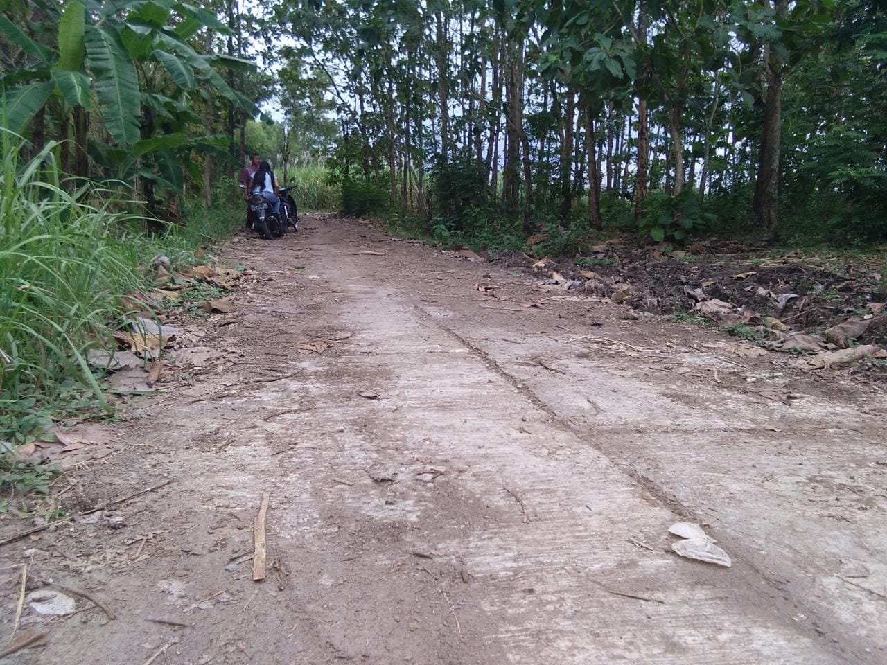 Dijual Tanah Lereng Bukit Beserta Pohon Jati  ,Kates,Jawa Timur - 5