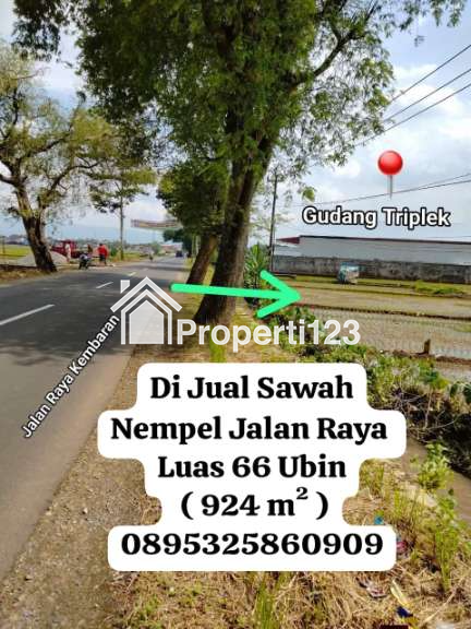 Jual sawah produktif lokasi strategis dkt Kota Purwokerto - 1