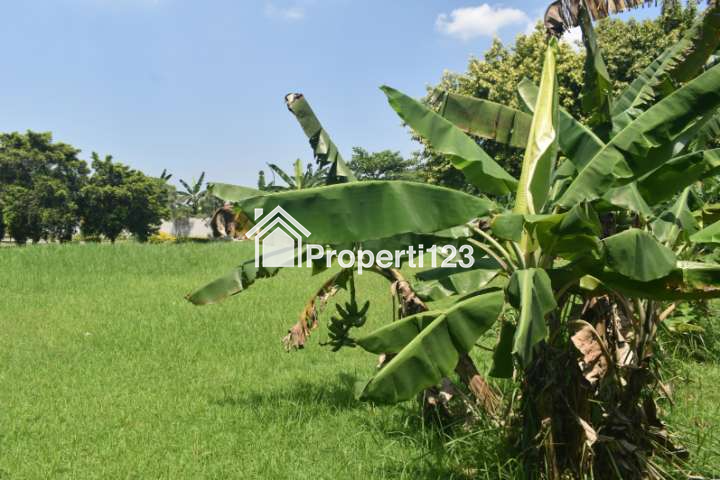 Tanah Kavling Siap Bangun Kemang Pratama Regensi Bekasi - 10