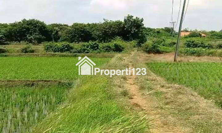 Tanah 2,5 Hektar SHM Muka 200 Meter Untuk Industri Manufaktur dan Pergudangan  Lokasi Super Strategis Bersebelahan Dengan Kawasan Industri di Kp. Jaringao Pabuaran Subang - 1