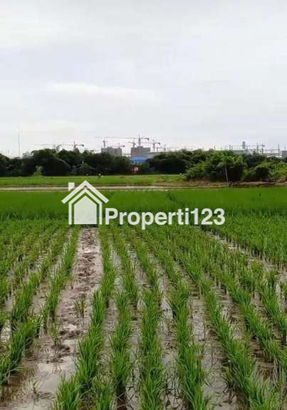 Tanah 2,5 Hektar SHM Muka 200 Meter Untuk Industri Manufaktur dan Pergudangan  Lokasi Super Strategis Bersebelahan Dengan Kawasan Industri di Kp. Jaringao Pabuaran Subang - 2