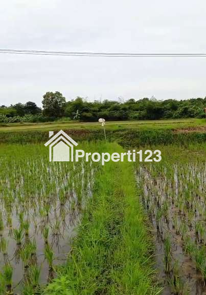 Tanah 2,5 Hektar SHM Muka 200 Meter Untuk Industri Manufaktur dan Pergudangan  Lokasi Super Strategis Bersebelahan Dengan Kawasan Industri di Kp. Jaringao Pabuaran Subang - 5