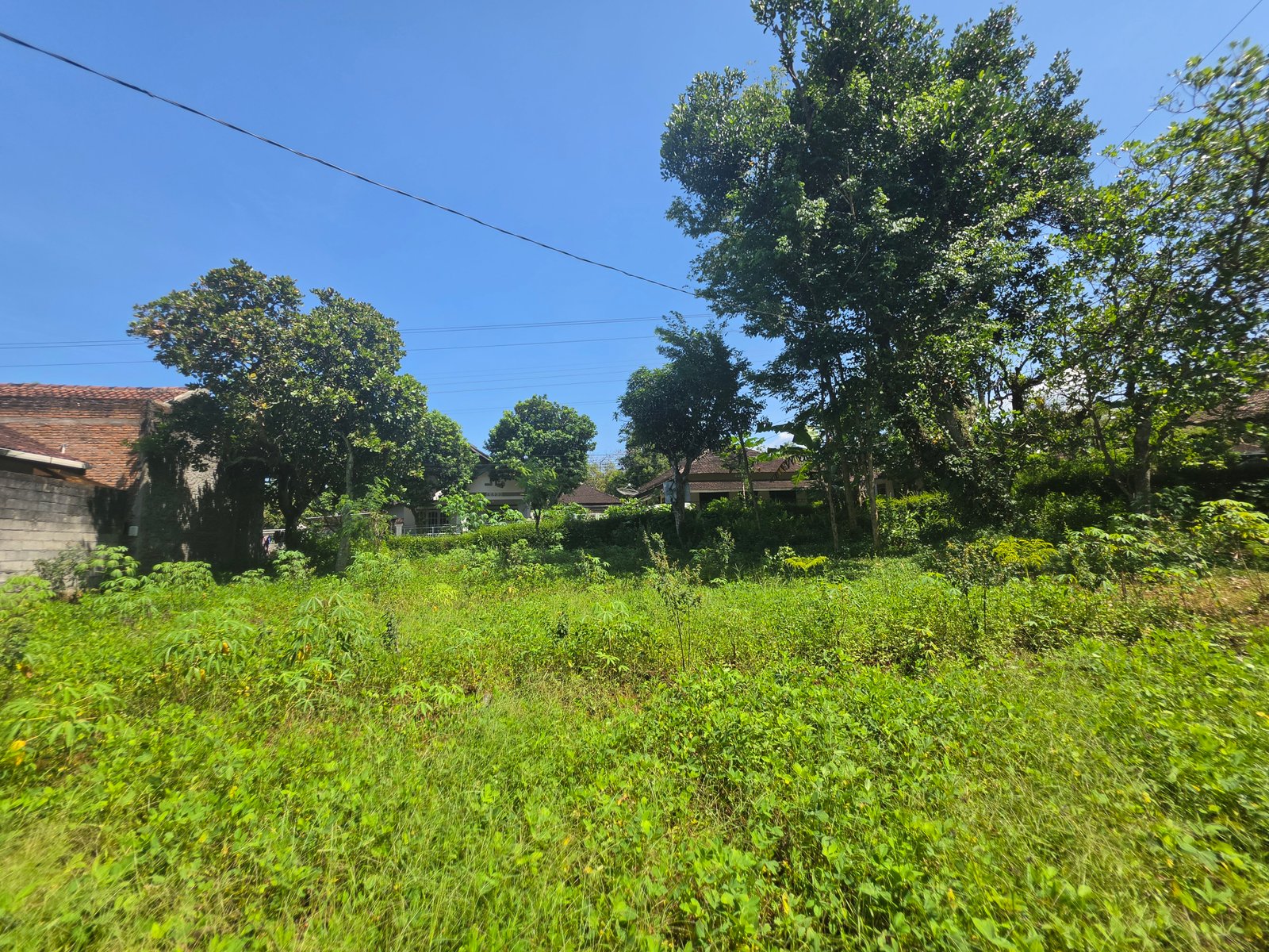 Jual Tanah Pekarangan - 12