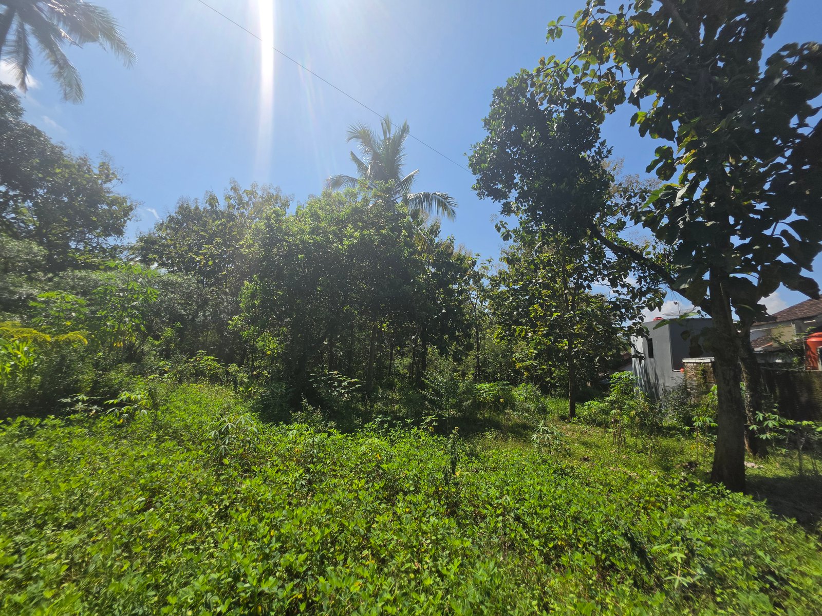 Jual Tanah Pekarangan - 10