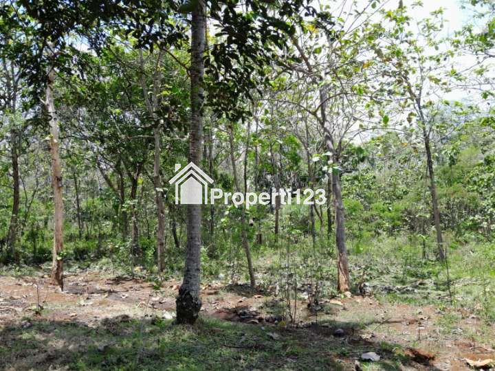 Jual Tanah Pekarangan - 3