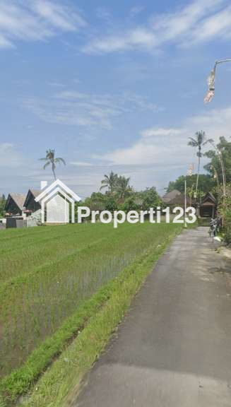 Dijual Tanah Zona Pariwisata Dkt Pantai Mejan Dan Balian Selemadeg Barat Tabanan Bali - 2