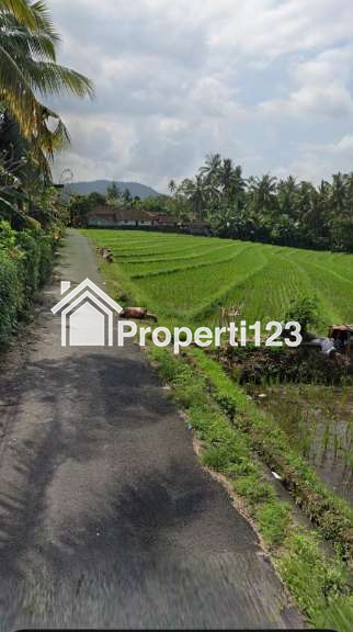 Dijual Tanah Zona Pariwisata Dkt Pantai Mejan Dan Balian Selemadeg Barat Tabanan Bali - 3