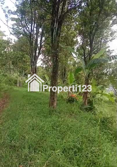 Tanah 2 Hektar SHM Muka 30 Meter Harga Murah Lokasi Super Strategis untuk Rukost  Town House Café Resto Hotel Sport Club Dekat Unpad ITB dan IPDN  di Jalan Raya Jatinangor Sumedang - 4