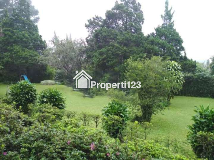 Dijual Kavling di Jl.Raya Puncak - Gadog, Ciloto, Cipanas, Cianjur, Puncak, Jawa Barat - 2