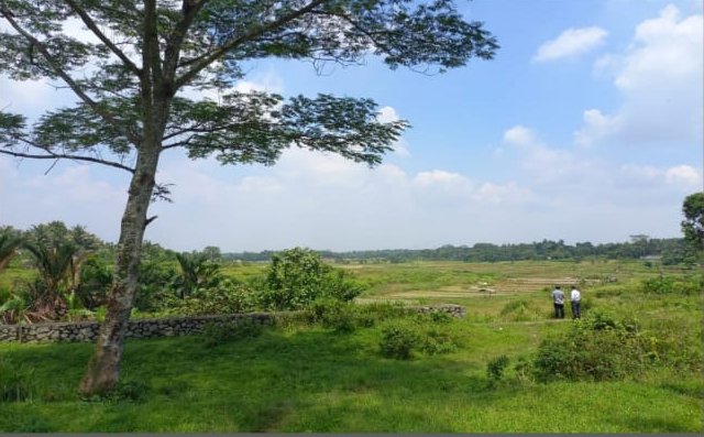 Dijual Tanah di Jl. Raya Dago, Kebasiran, Kec. Parung Panjang, Kab. Bogor - 4