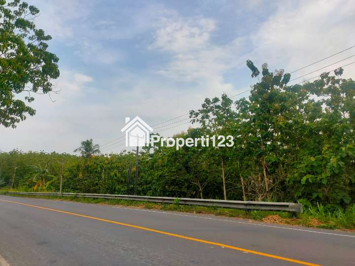 Dijual Tanah di Jl. Lintas Sumatera, Sukabanjar, Kec. Sidomulyo, Talang Baru, Lampung Selatan - 3