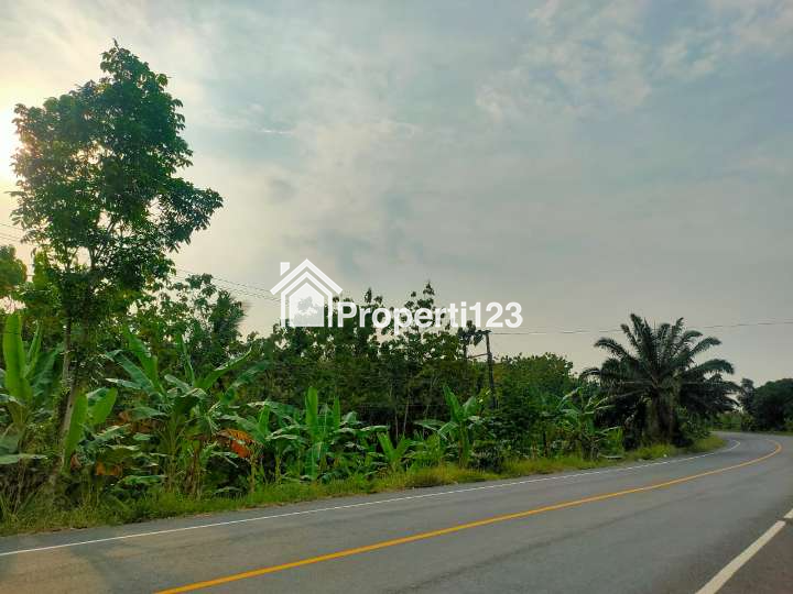 Dijual Tanah di Jl. Lintas Sumatera, Sukabanjar, Kec. Sidomulyo, Talang Baru, Lampung Selatan - 4