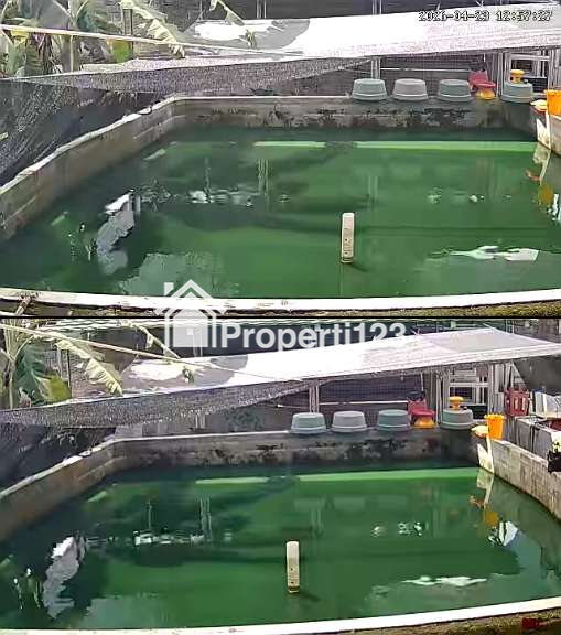 TANAH  + Kolam Ikan Siap Usaha - 2