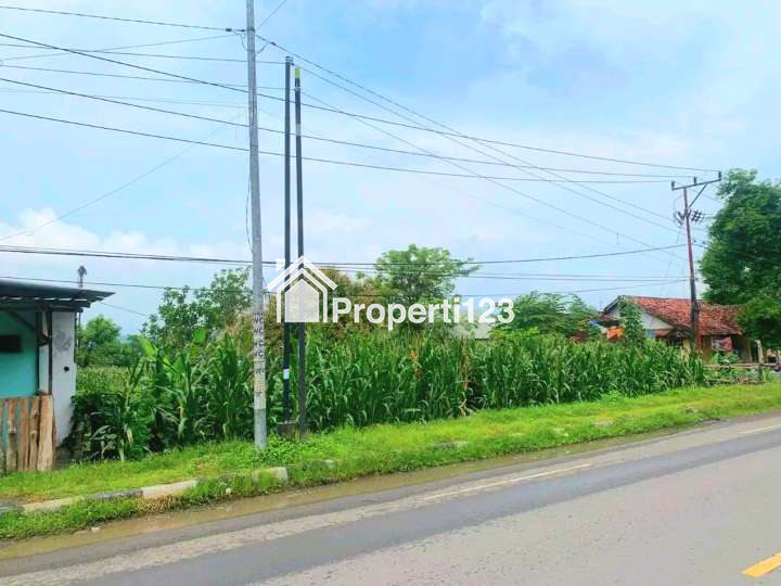 Dijual Tanah Jl Lingkar Utara Labuhan Badas Sumbawa - 3