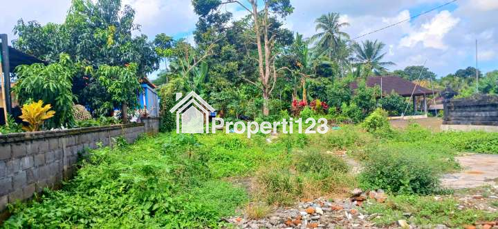 Dijual Tanah Jl Denpasar-Singaraja Mengwi Badung Bali - 2