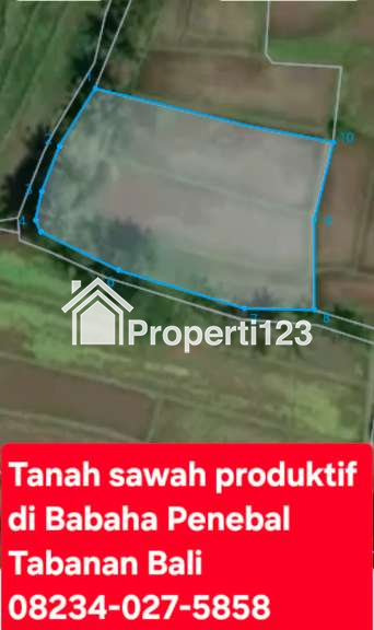 Dijual Tanah Sawah Produktif Di Babaha Penebal Tabanan Bali - 1