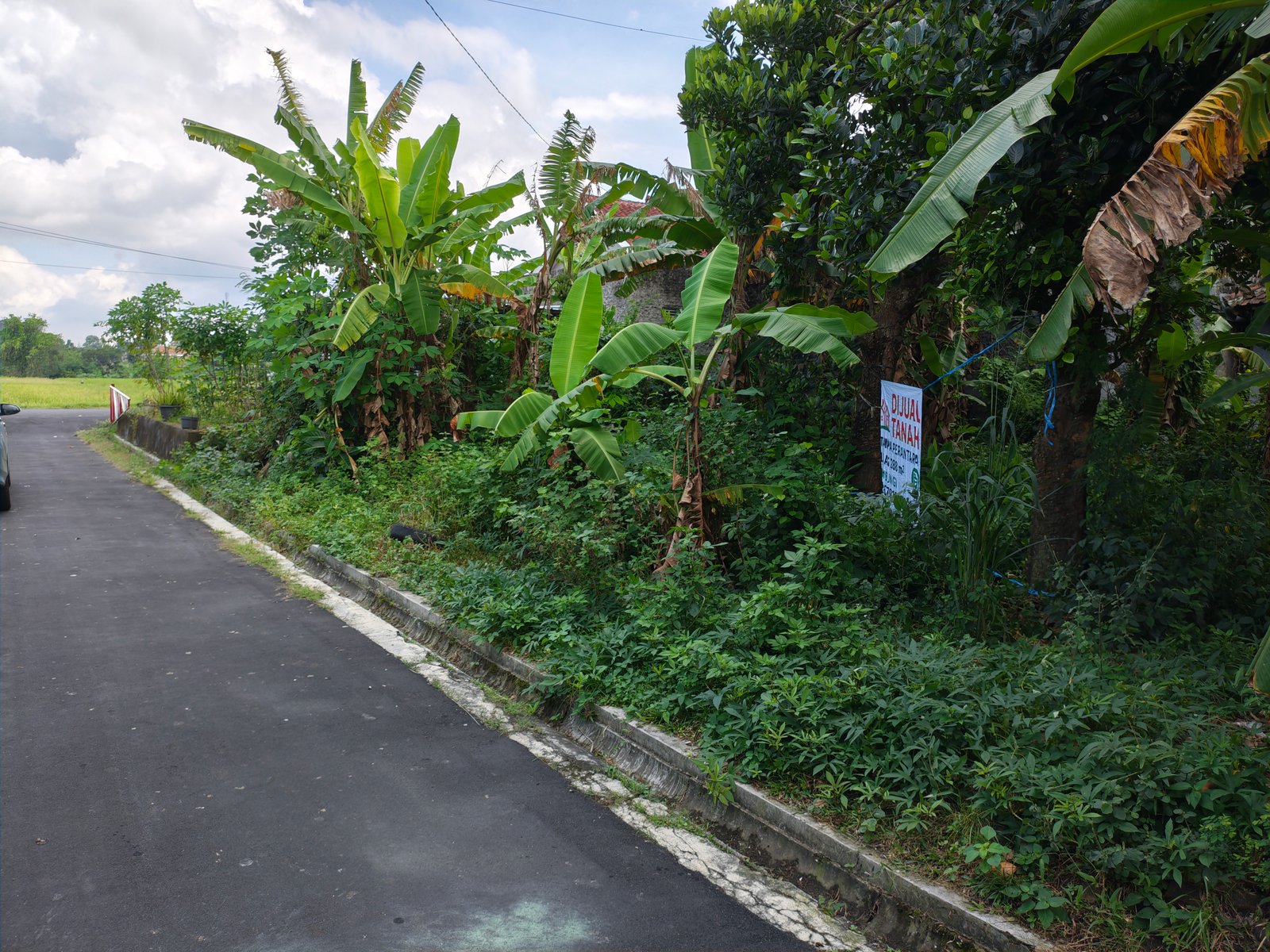 DIJUAL TANAH KLATEN KOTA TANPA PERANTARA SHM AKSES MUDAH DEKAT PUSAT KOTA, RSUP, DAN JALAN TOL - 6