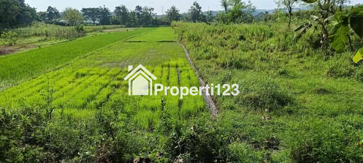 Di jual tanah industri di jimbung klaten - 1