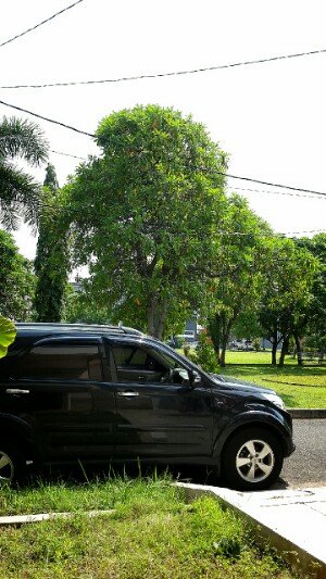 Di Jual Rumah Siap Huni dengan Akses Tol Terbaik - 4