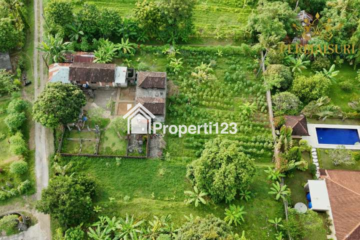 TANAH VILLA DESA KAYUPUTIH (975M2) - 3