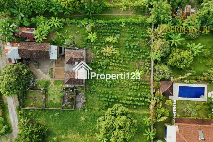 TANAH VILLA DESA KAYUPUTIH (975M2) - 4